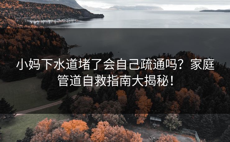 小妈下水道堵了会自己疏通吗？家庭管道自救指南大揭秘！