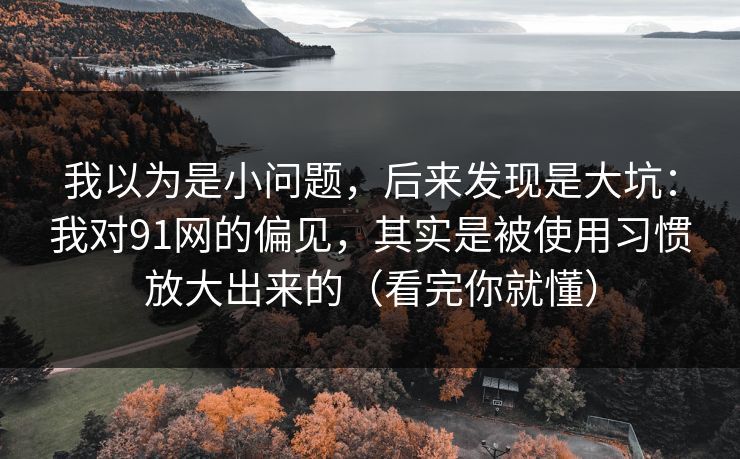 我以为是小问题，后来发现是大坑：我对91网的偏见，其实是被使用习惯放大出来的（看完你就懂）